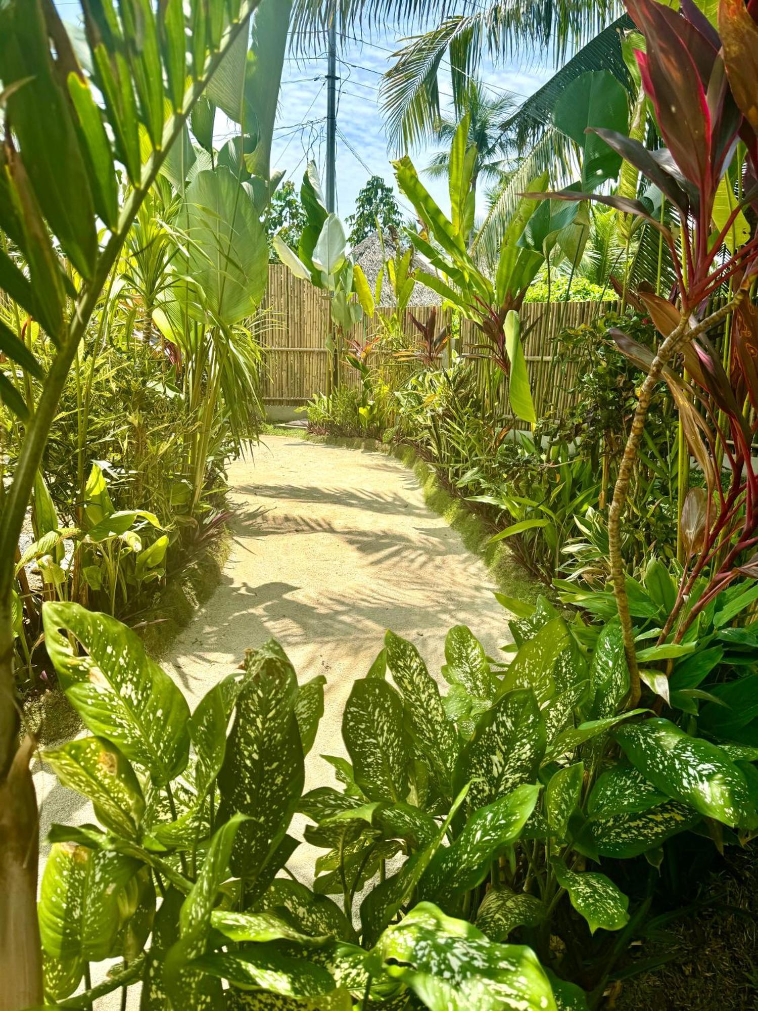 Villa Pura Vida Apartments Siargao เจเนอรัลลูนา ภายนอก รูปภาพ